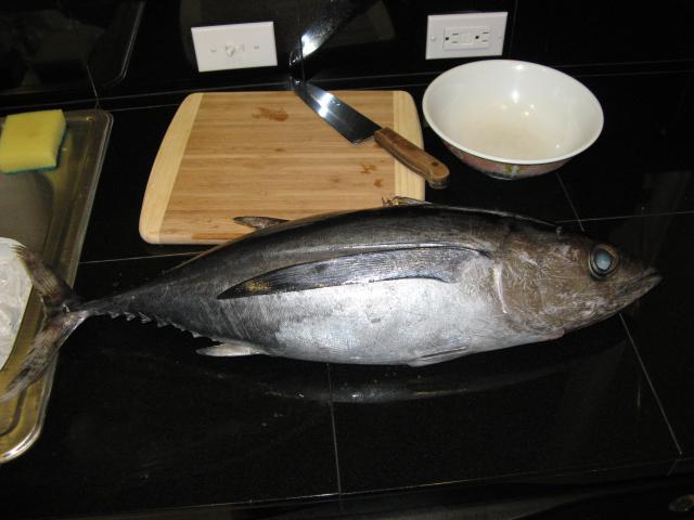 230_1_tuna_table.jpg