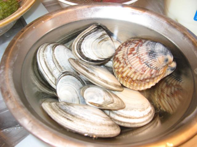 230_clam_small_800.jpg