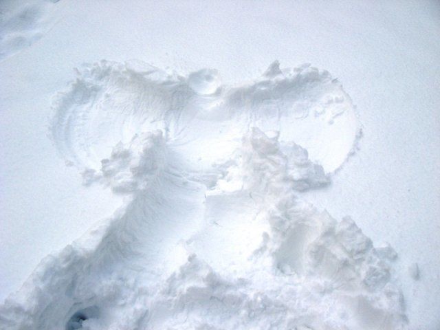 230_snow_angel.jpg