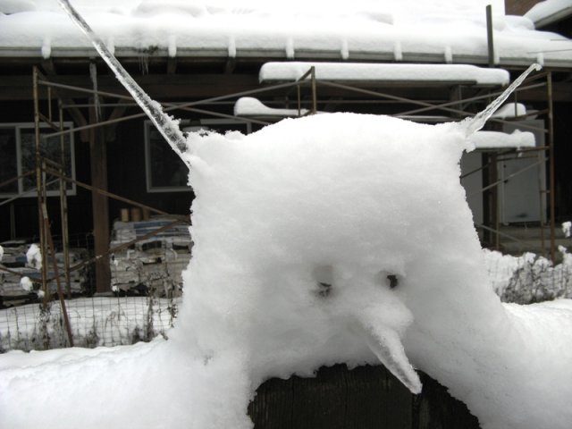 230_snow_face.jpg