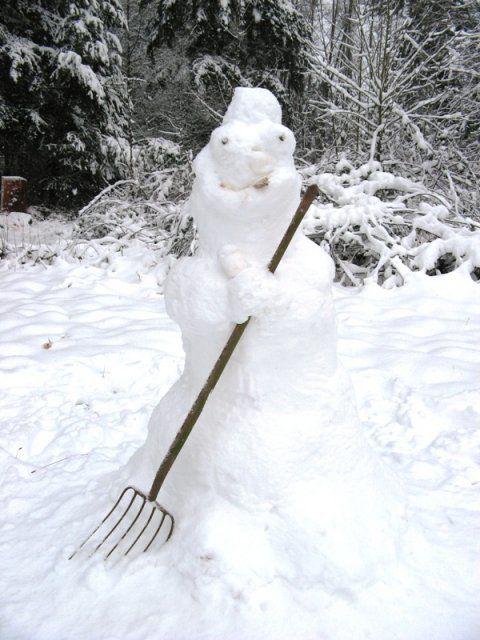 230_snow_man.jpg