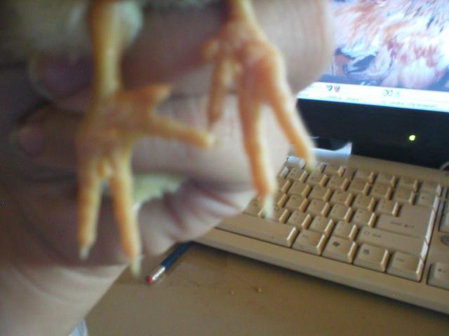 23256_p1010005.jpg