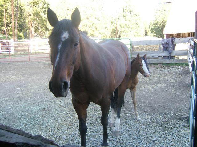23286_cookie_and_baby.jpg