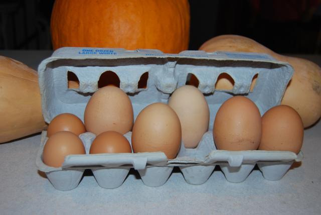 2328_eggs_015.jpg