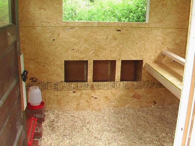 23395_imga0168.jpg