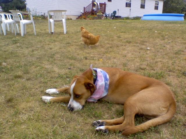 23535_07180917091.jpg