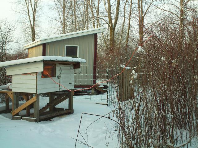 23535_christmas_2009_057.jpg
