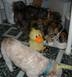 23574_beaker_001.jpg