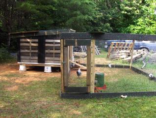 23574_chicken_coops_001.jpg