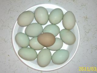 23574_ee.jpg