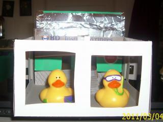 23574_modelcoop_004.jpg