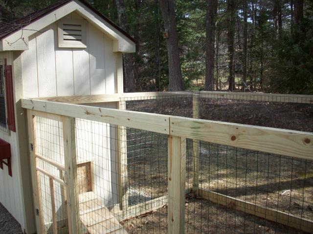 23582_building_chicken_coop_038.jpg