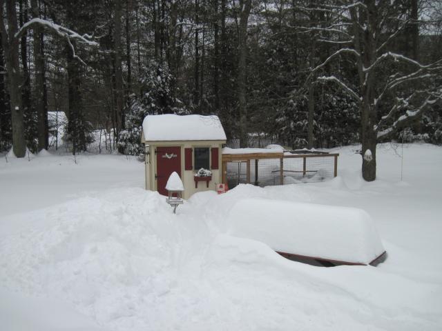 23582_snowy_day.jpg