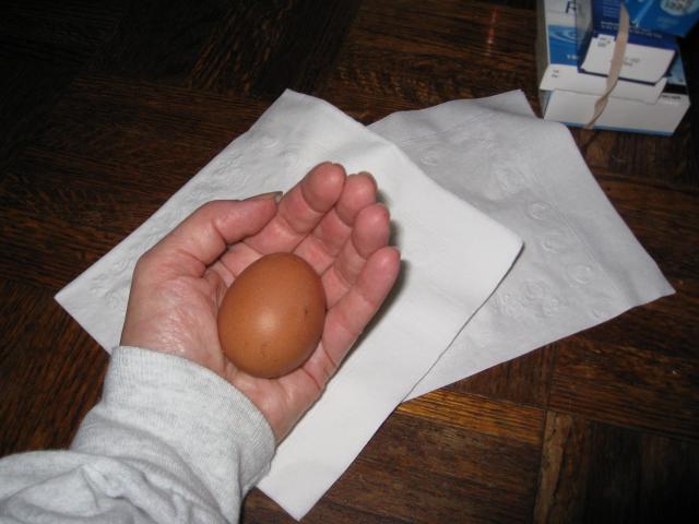 23588_img_2255.jpg