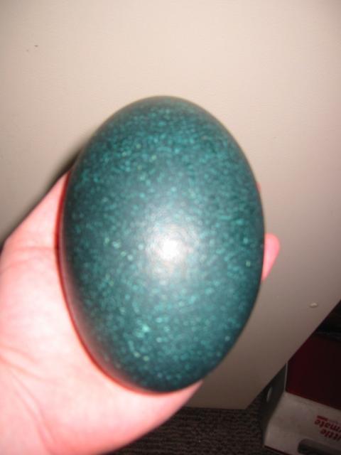 23598_012.jpg