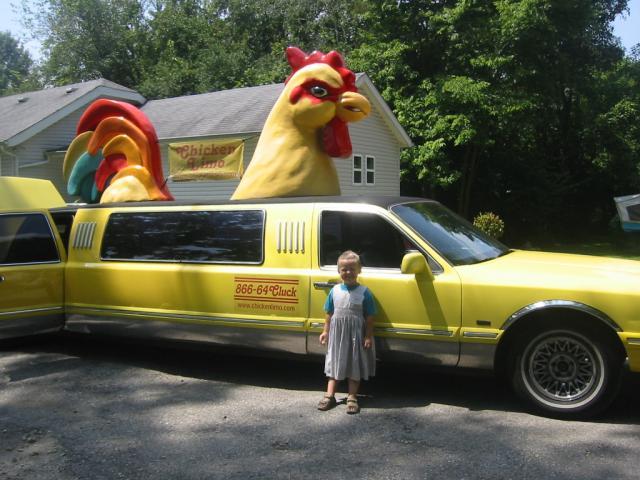 23598_byc_chickenstock_2010_005.jpg