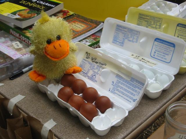 23598_byc_chickenstock_2010_026.jpg