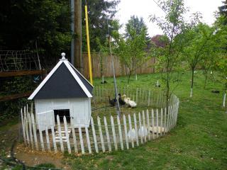 23623_2010-0427_021.jpg