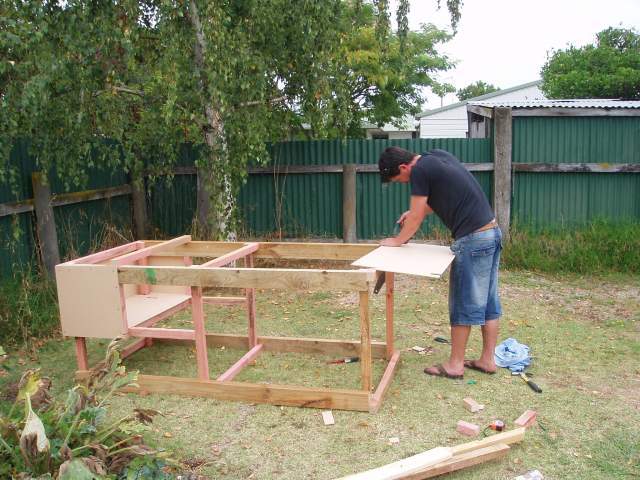 23676_chooks_006.jpg