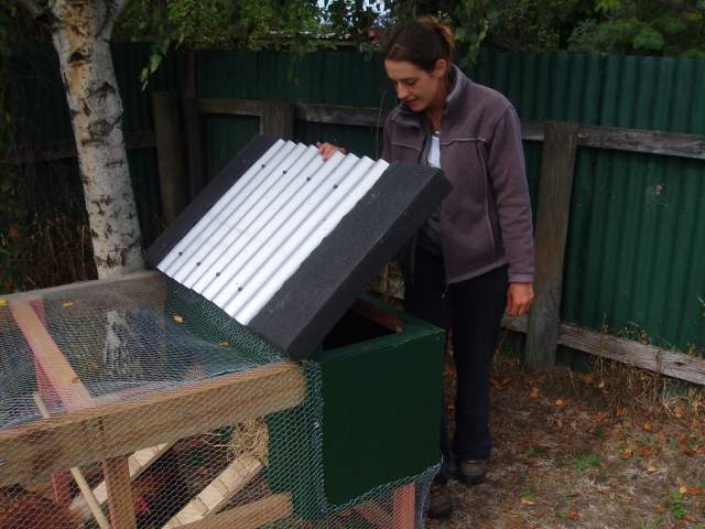 23676_chooks_034.jpg