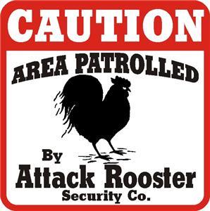 23722_attack_rooster_1.jpg