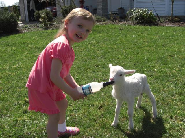23722_camis_lamby_007.jpg