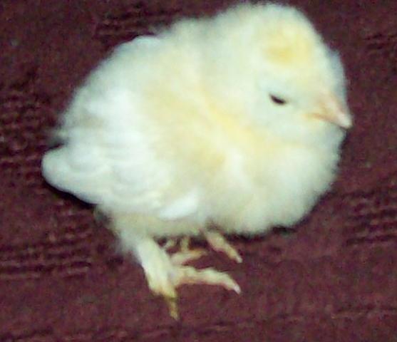 23813_jenny.jpg