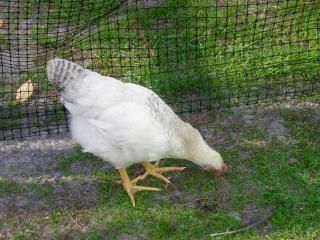 23896_july_014.jpg