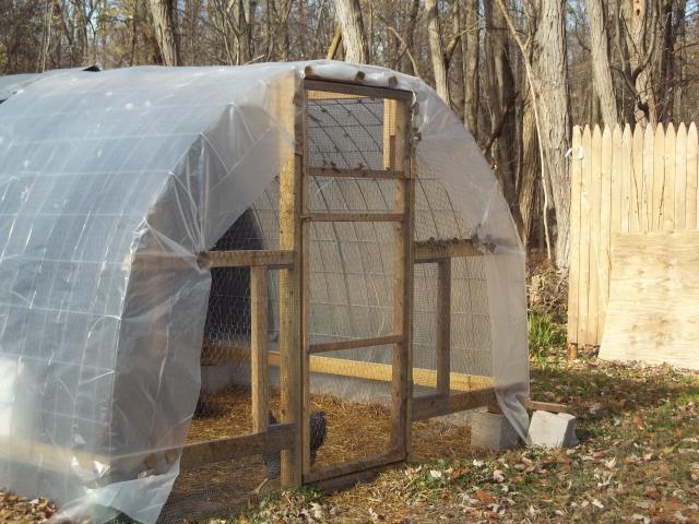 23908_fall_2011_chickens_and_coops_371.jpg
