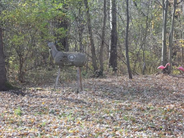 23908_fall_2011_chickens_and_coops_407.jpg