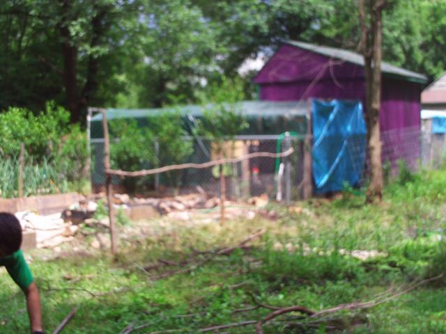 23908_henry_and_yard_work_6_23_11_029.jpg