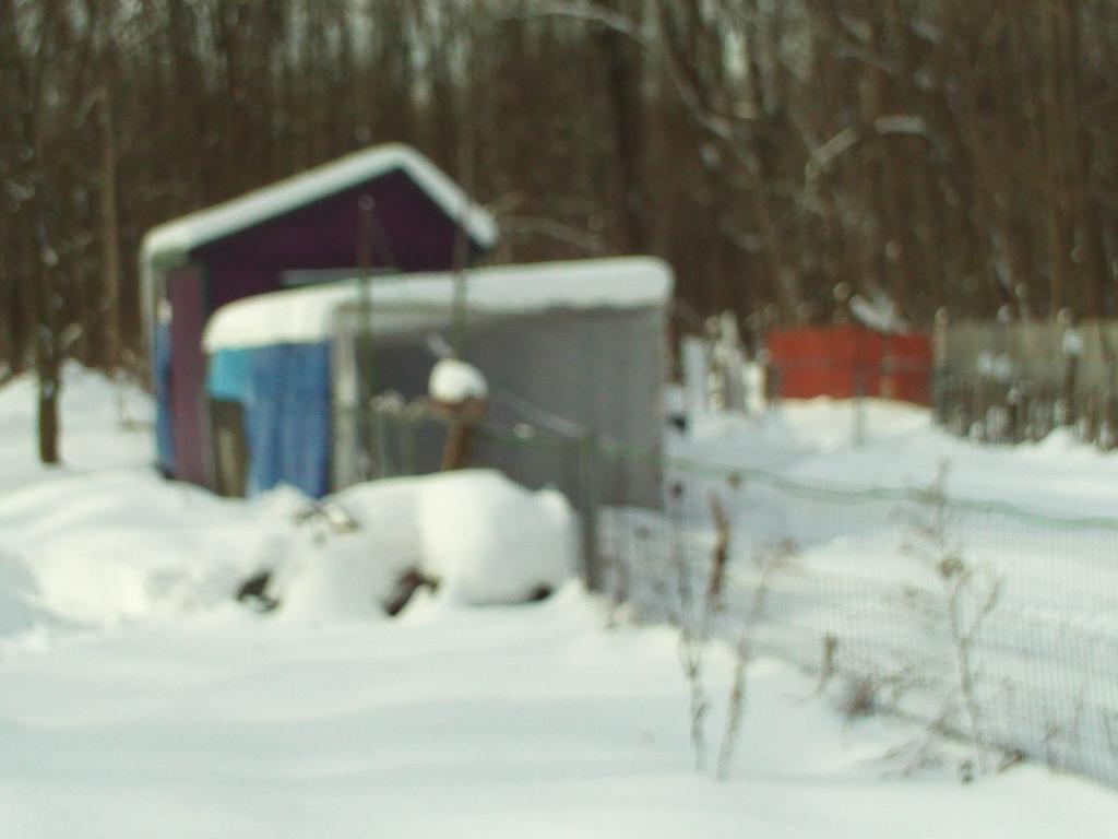 23908_winter_jan_2011_001.jpg