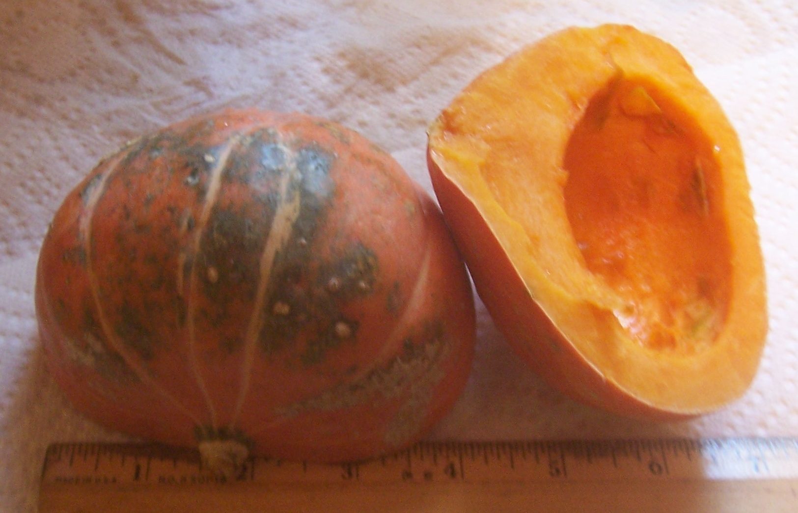 23941_golden_nugget_squash.jpg