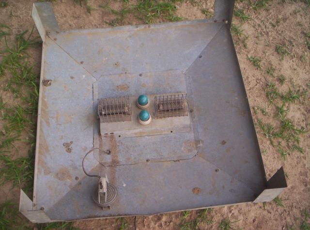23962_brooder_good_1.jpg