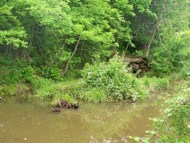 24037_100_4787.jpg