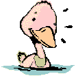 24037_duck_talks.gif