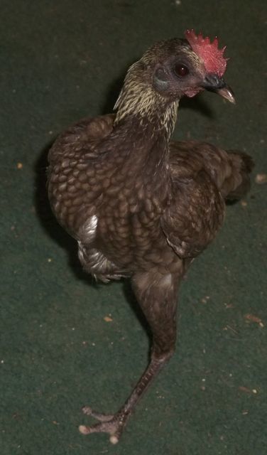 24037_emily9.jpg