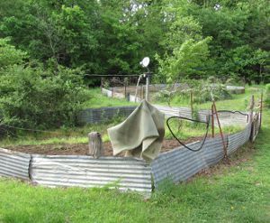 24037_garden.jpg