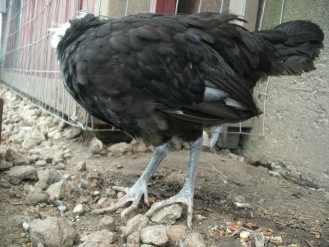24062_gedc1423.jpg