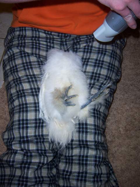 24129_100_9558.jpg