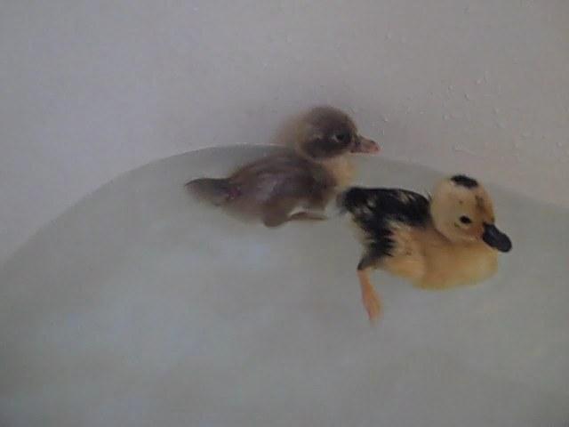 24137_video_42_00m_07s.jpg