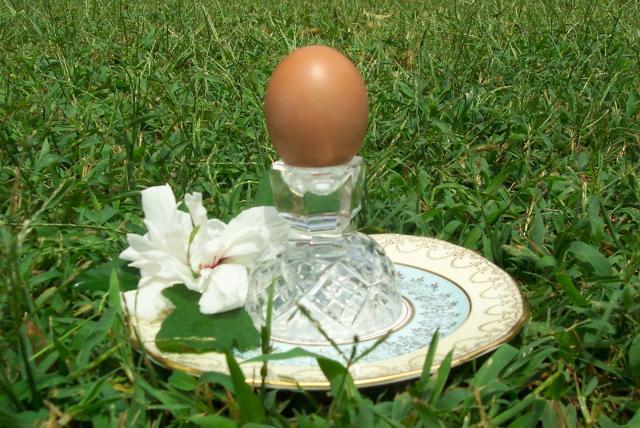 24145_2nd_egg_cropped_pic.jpg