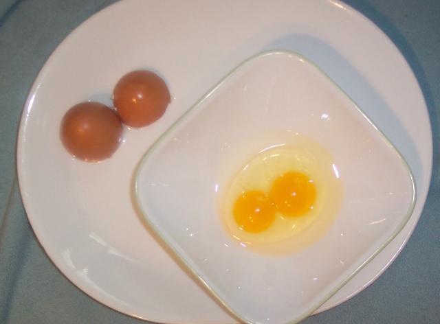 24145_d_yolk_3.jpg