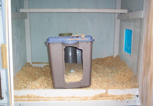 24145_inside_small_coop.jpg
