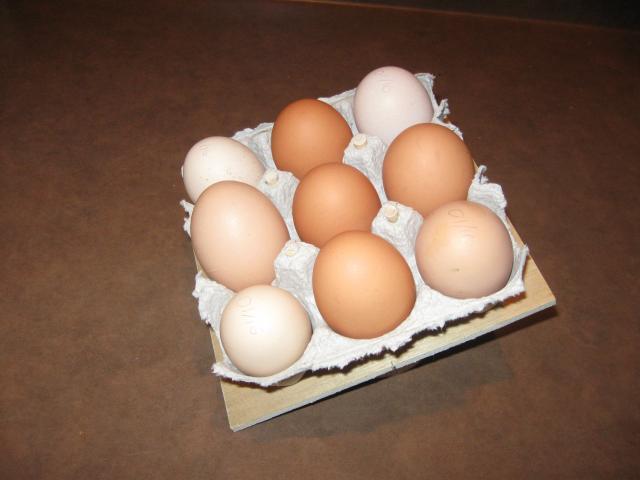 24157_incubator_020.jpg