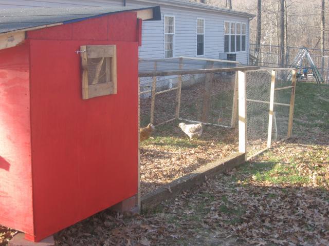 24186_josh_004.jpg