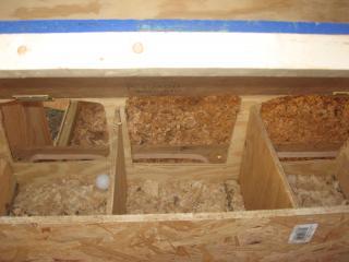 24186_joshs_276.jpg