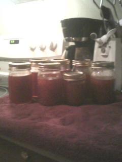 24186_plum_jam.jpg