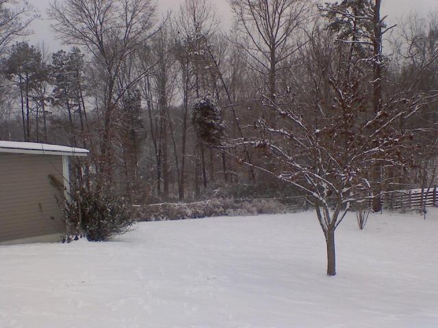 24277_downsized_0111010941.jpg
