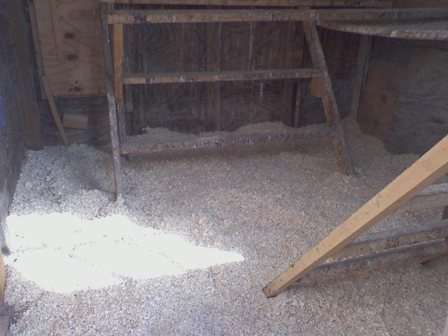 24277_downsized_0122011230.jpg